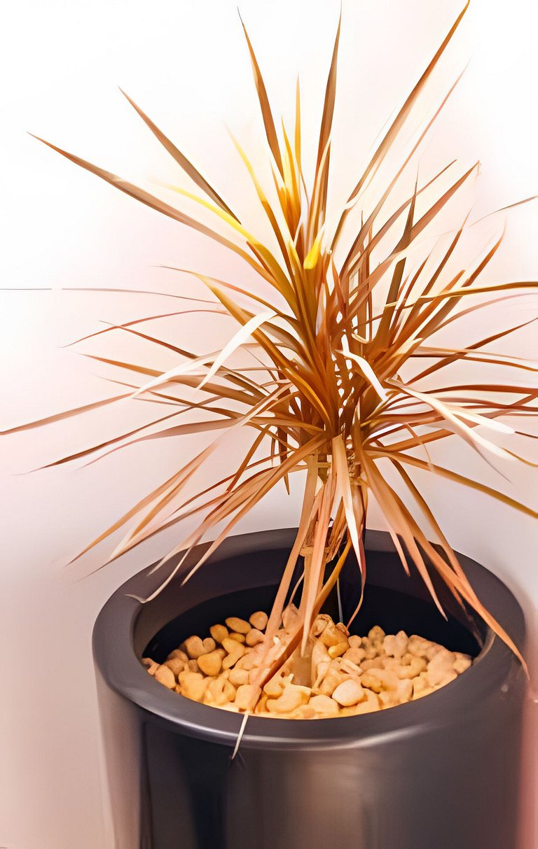 Acesso à Praia Ar Condicionado Conforto Garantido! Village V