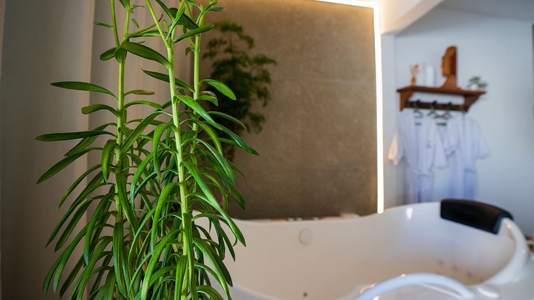 Loft Romântico Acesso à Praia Ar Condicionado
