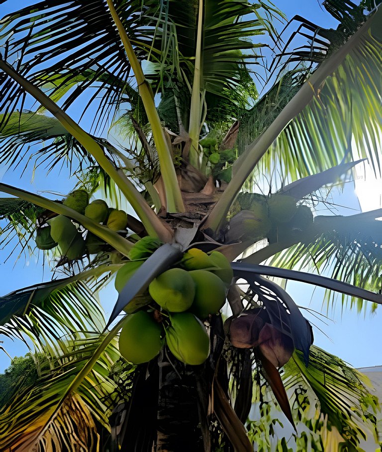 Casa 3 quartos com acesso à praia no Centro, Saquarema