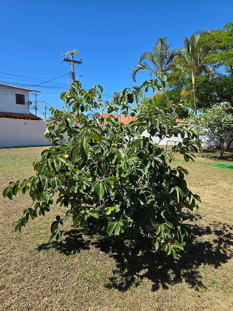 Lazer Completo: Piscina, Ar e Perto da Lagoa