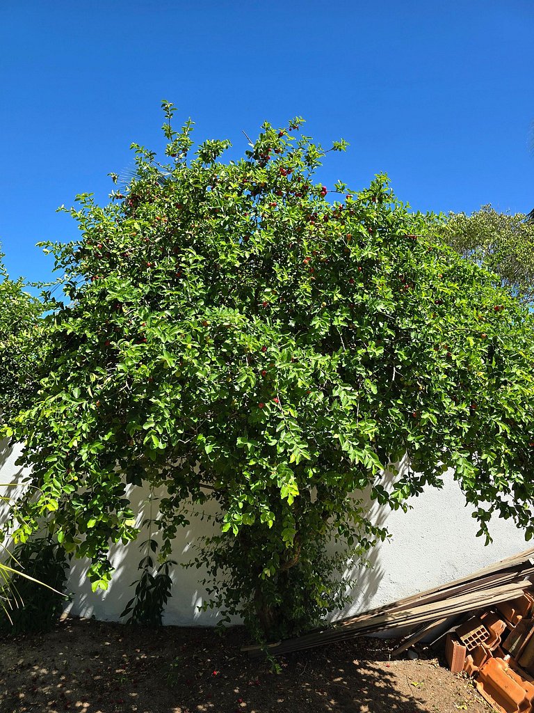 Lazer Completo: Piscina, Ar e Perto da Lagoa