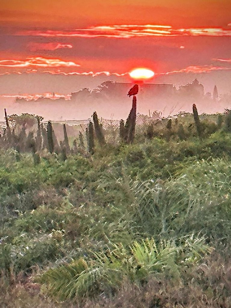 Acesso à Praia Ar Condicionado Conforto Garantido!