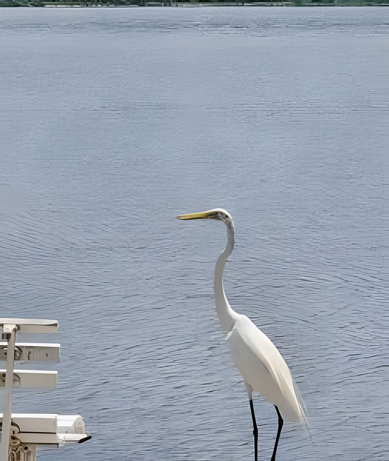 Ar-condicionado Área Gourmet Próximo à Praia