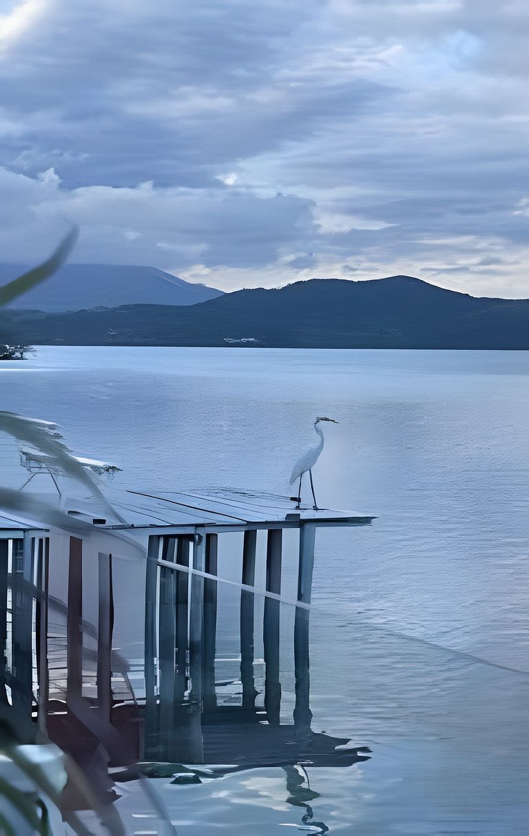 Ar-condicionado Área Gourmet Próximo à Praia