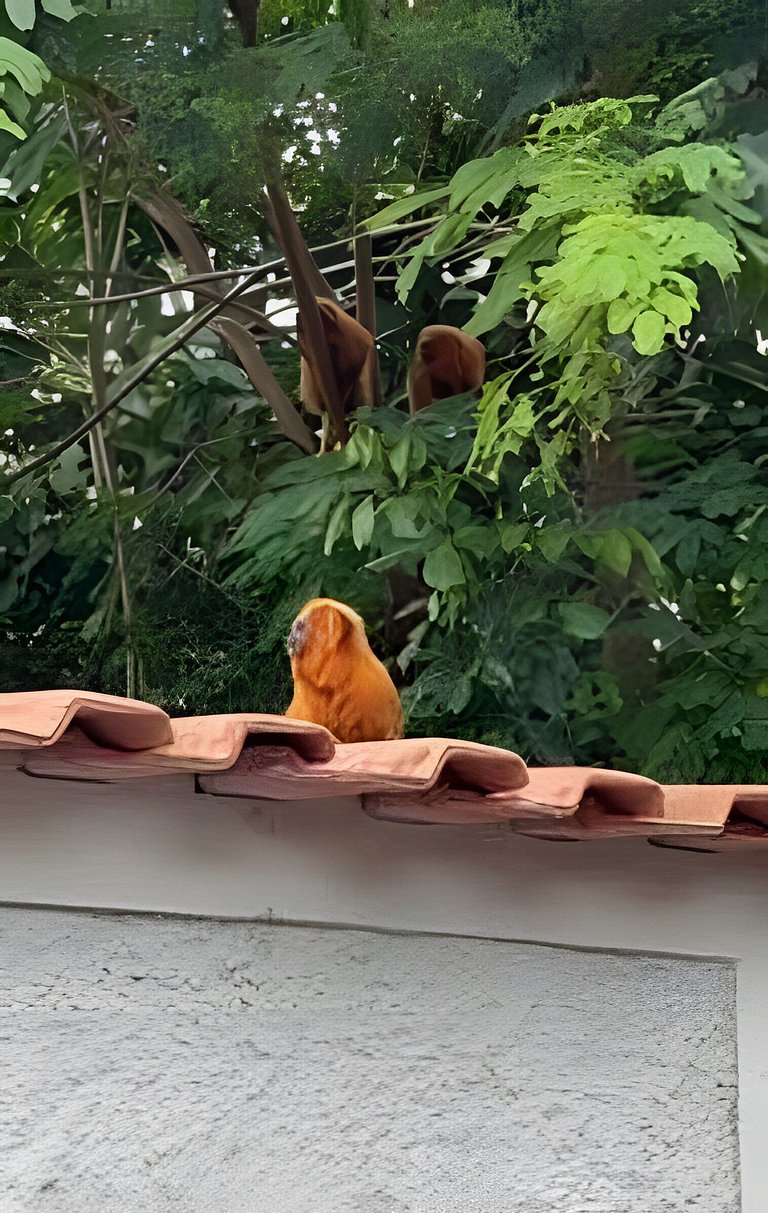 Conforto e Lazer em Itaúna