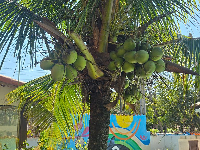Yoga, Praia e Natureza